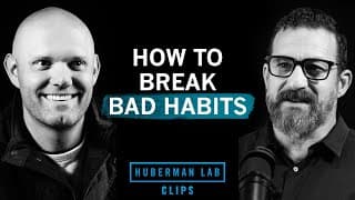 How to Break Bad Habits | James Clear & Dr. Andrew Huberman