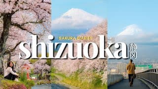 🌸 3 Days in Shizuoka: Mt. Fuji Views, Sakura Spots & Local Fish Market | Japan Spring Travel Vlog