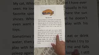 My lazy cat | English Reading Practice